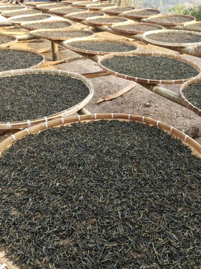 大树茶