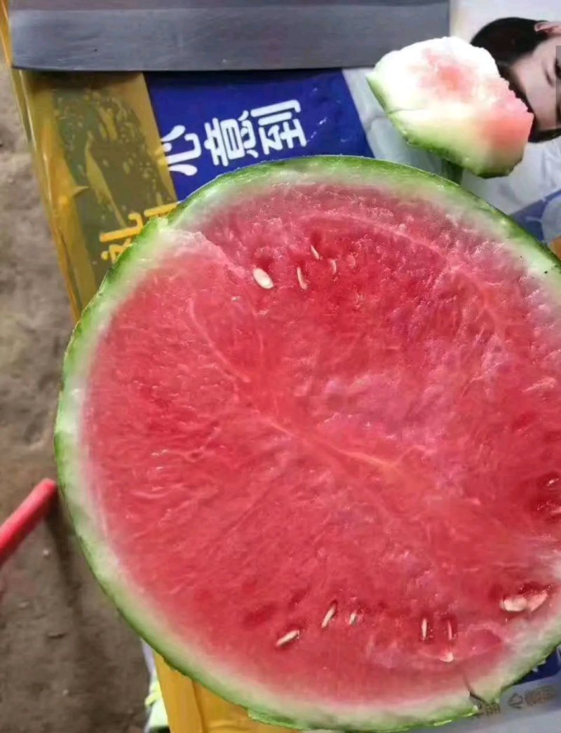 甜王8424西瓜麒麟美都。花长瓜等等。
