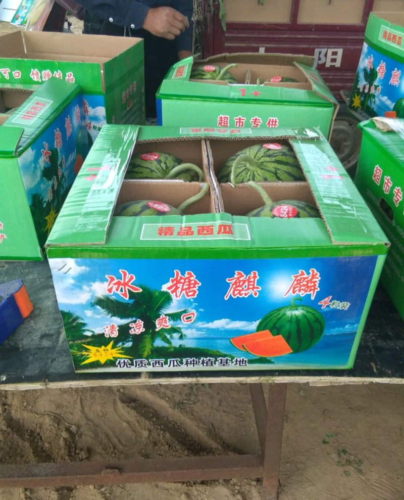 西瓜黑美人，麒麟瓜8424等等西瓜。