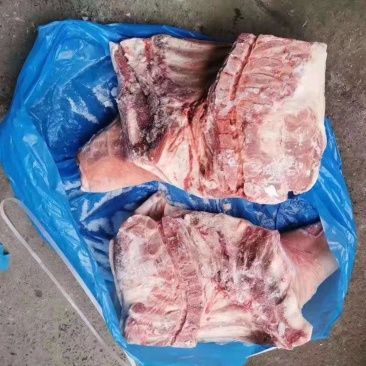 进口28前腿，现货供应