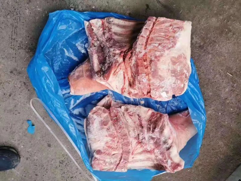 进口28前腿，现货供应