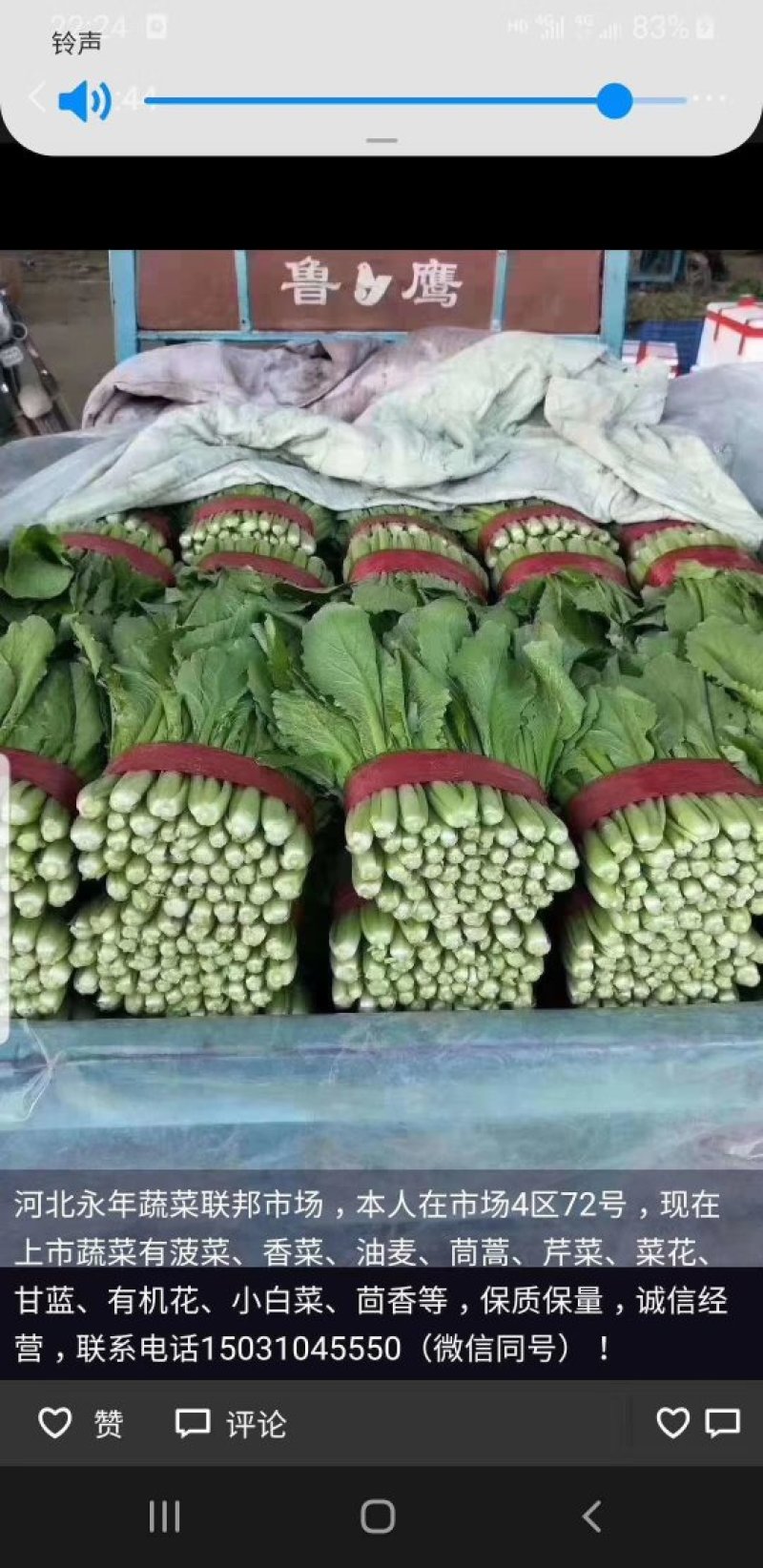 蔬菜