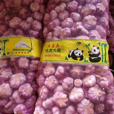 蔬菜