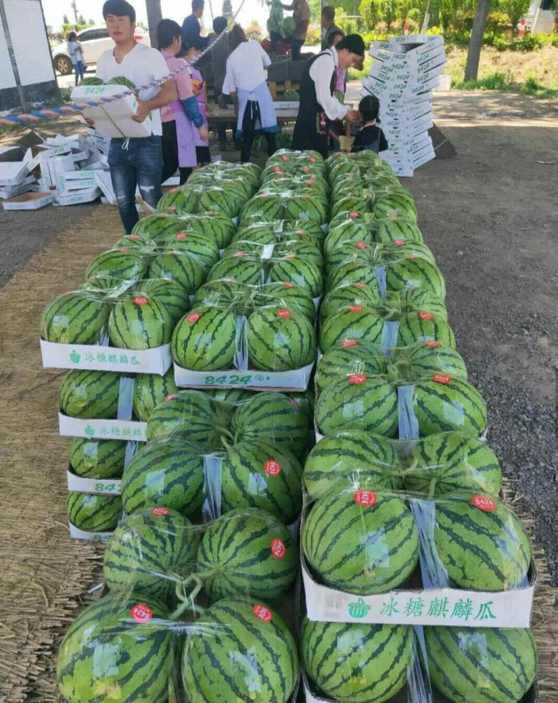 常年代收代发瓜果蔬菜基地种植上货快植量忧价格