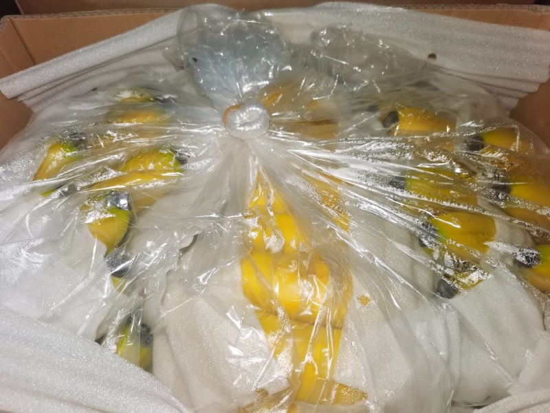 香蕉