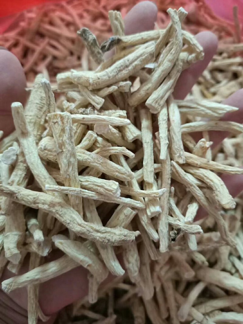 长白山花旗参粗腿西洋参西洋参丁(包邮)可免费打粉