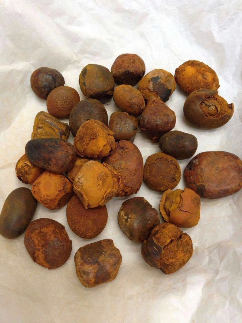 中药材牛黄天然牛黄胆黄非人工牛黄价格中药材批发零售大全