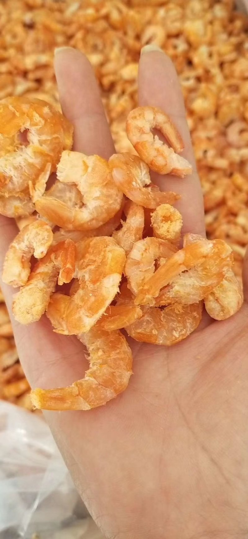 低盐大个对虾海米干干度好有嚼劲，支持一件代发