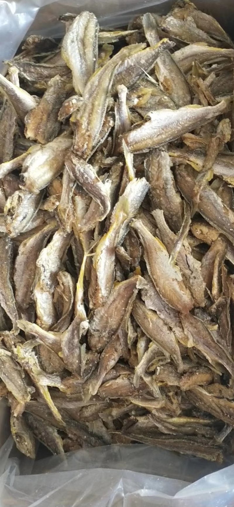 香烤小黄鱼超级酥脆一款不错的休闲食品支持一件代发