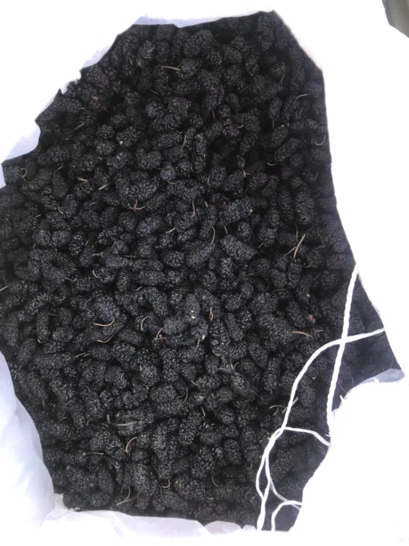 【精品】四川特级桑葚干免水洗无沙桑葚干无沙无沙无沙！！