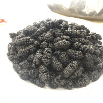【精品】四川特级桑葚干免水洗无沙桑葚干无沙无沙无沙！！
