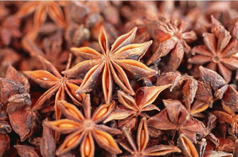 中药材八角茴香调料大茴香哪里买八角价格中药材批发零售大全