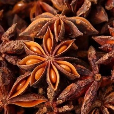 中药材八角茴香调料大茴香哪里买八角价格中药材批发零售大全