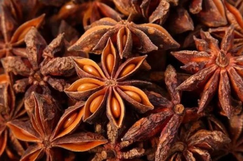 中药材八角茴香调料大茴香哪里买八角价格中药材批发零售大全