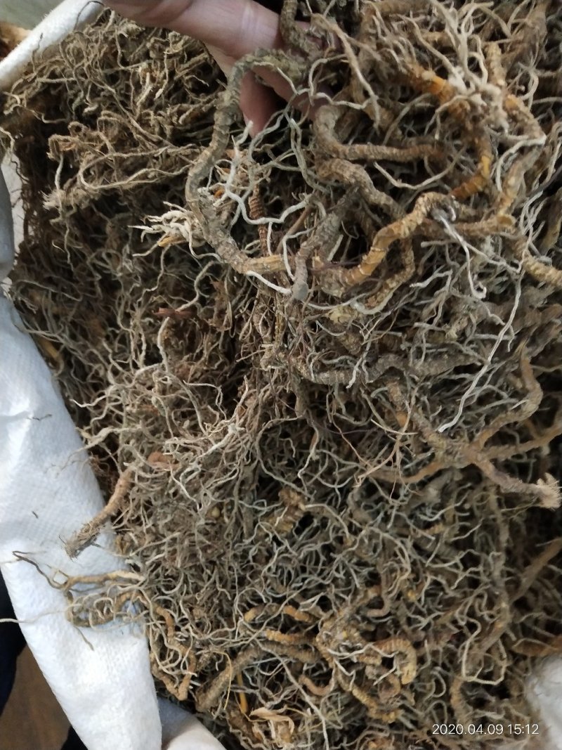 中药材入地蜈蚣，批发零售，产地一手货源，价格实惠
