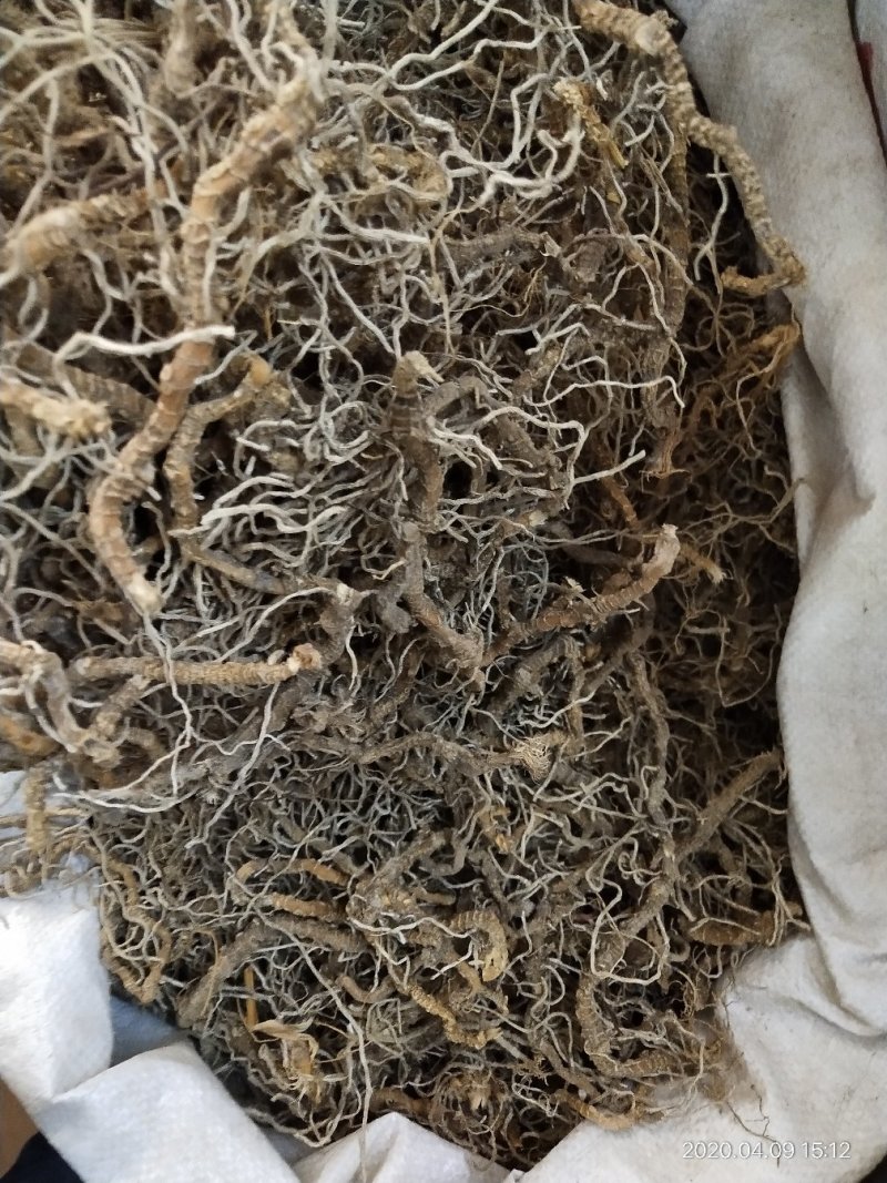 中药材入地蜈蚣，批发零售，产地一手货源，价格实惠