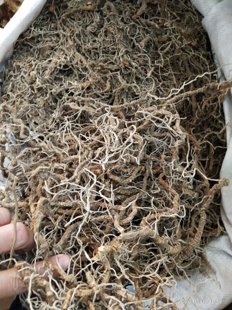 中药材入地蜈蚣，批发零售，产地一手货源，价格实惠