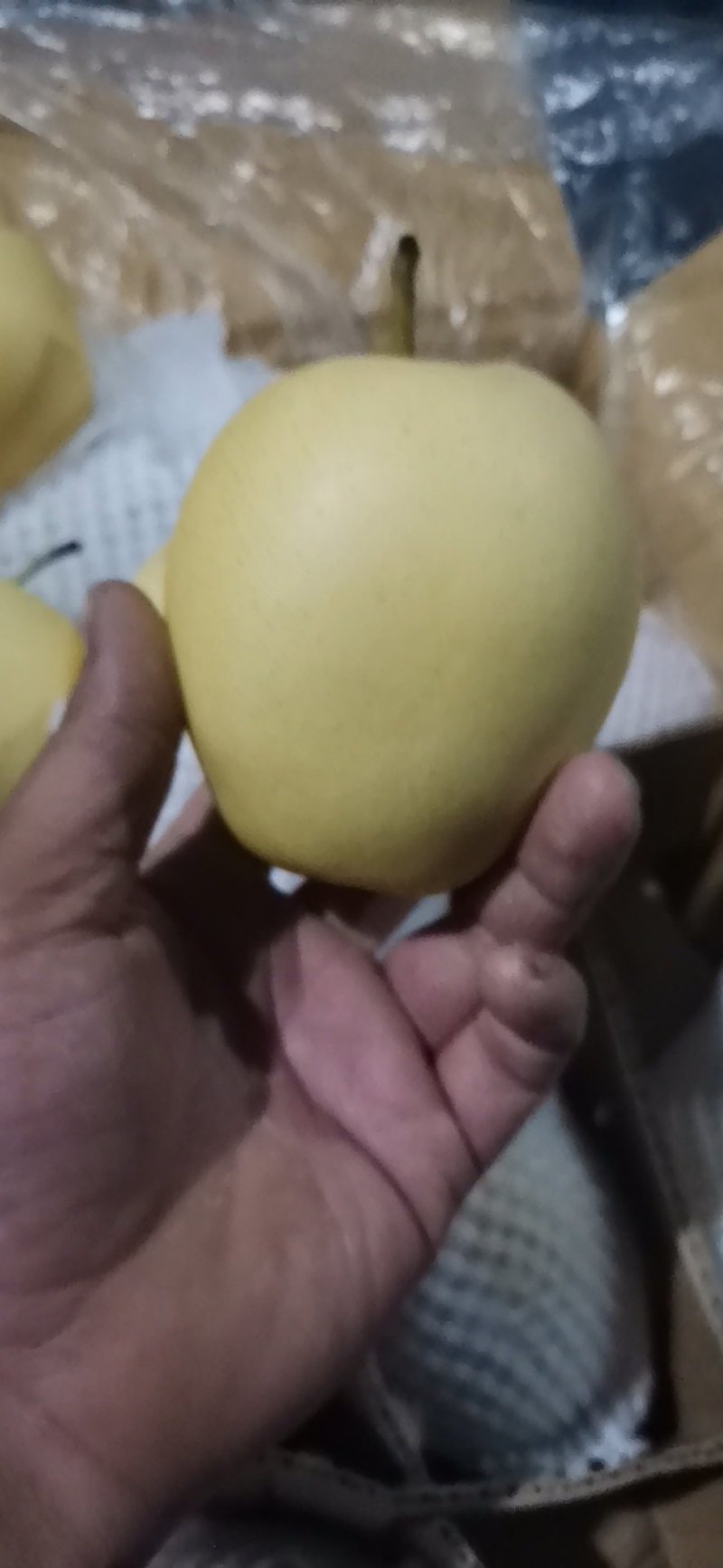 【优】皇冠梨，河北皇冠梨开始大量上市，有需要的客商联系！