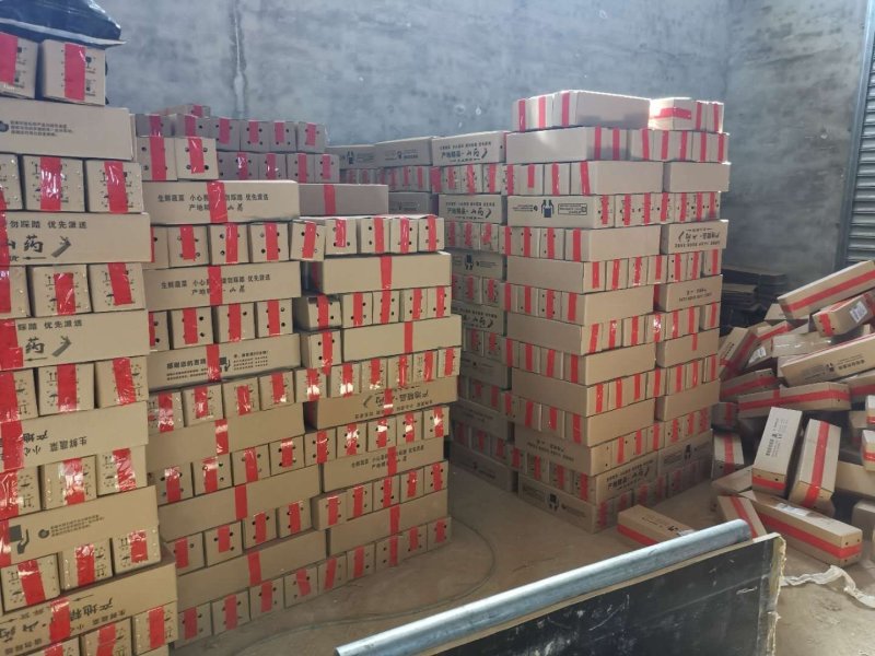 河北小白嘴山药大量供货，一手货源产地直供现货秒发代发全国