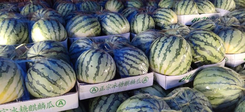 【热卖】精品美都.产地直销.货源充足.代收代发，一手货源