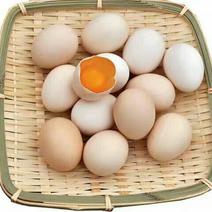 山林农家散养土鸡蛋