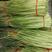 蒜苔~红帽精品，苔长30公分左右，供电商、市场，生鲜配送