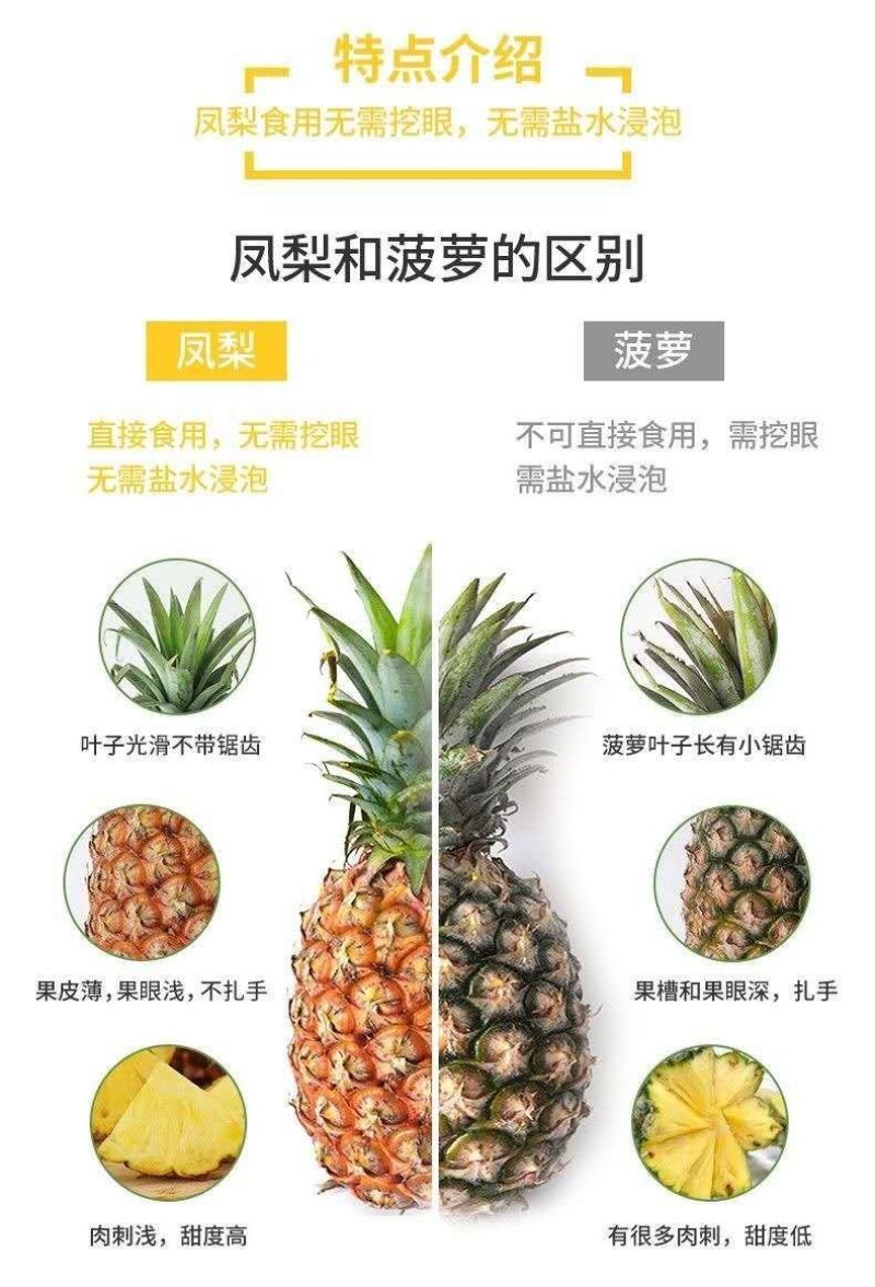 海南金钻凤梨当季水果手撕凤梨一件包邮