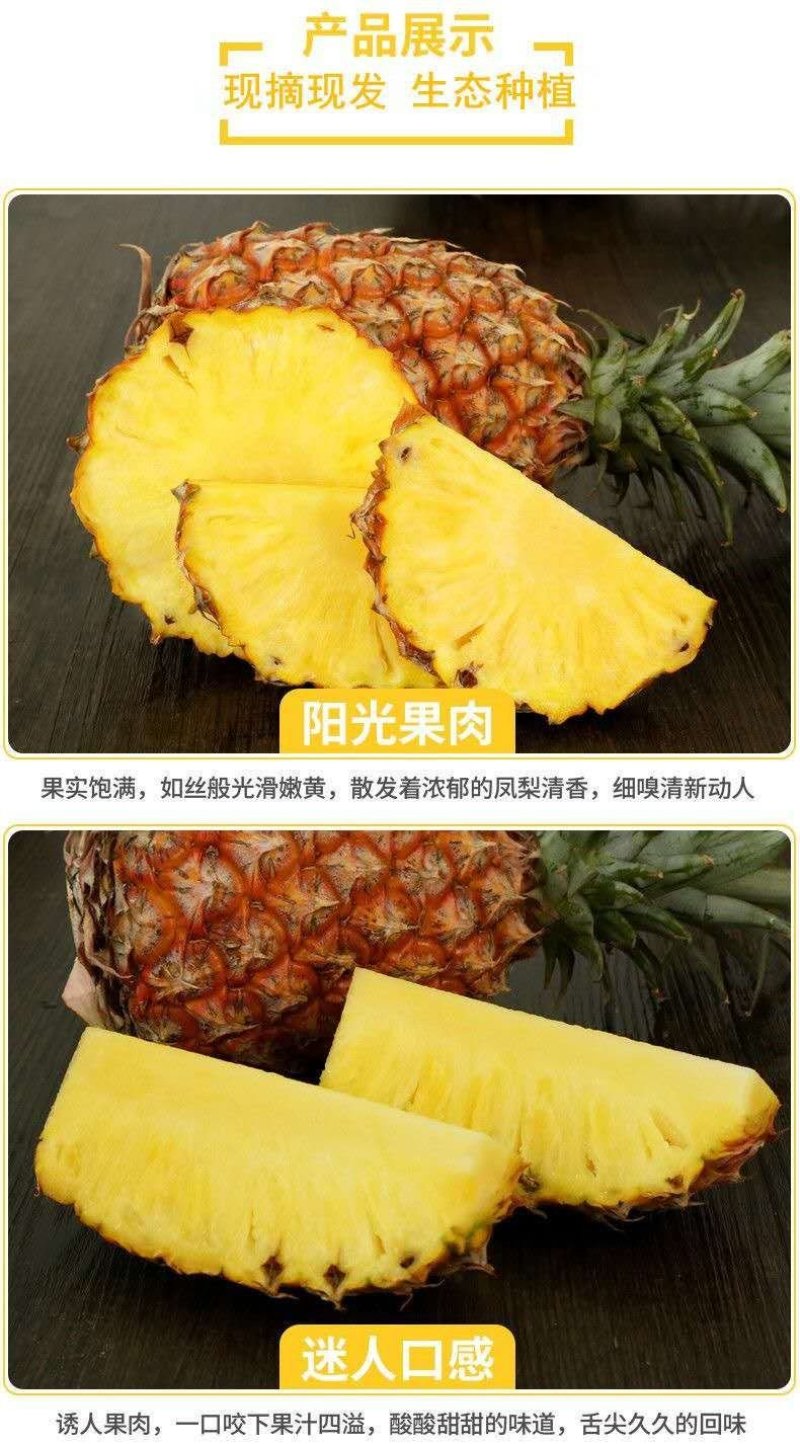 海南金钻凤梨当季水果手撕凤梨一件包邮