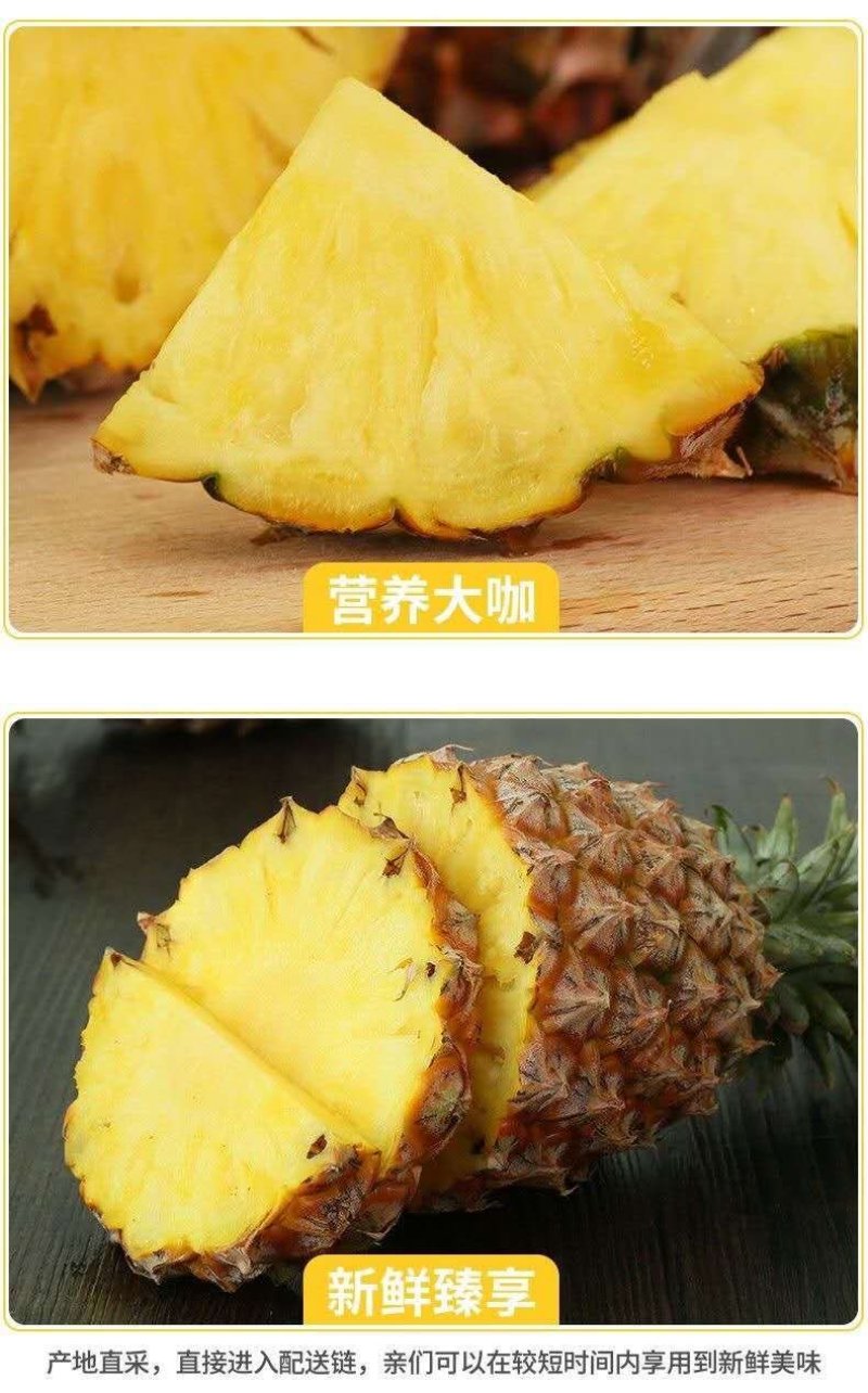 海南金钻凤梨当季水果手撕凤梨一件包邮