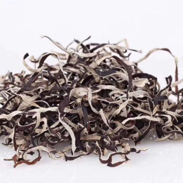 精品木耳丝产地批发直销