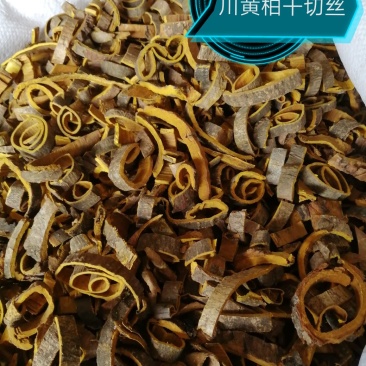 川黄柏，黄柏丝，未去外粗皮干切黄柏丝，货干颜色漂亮