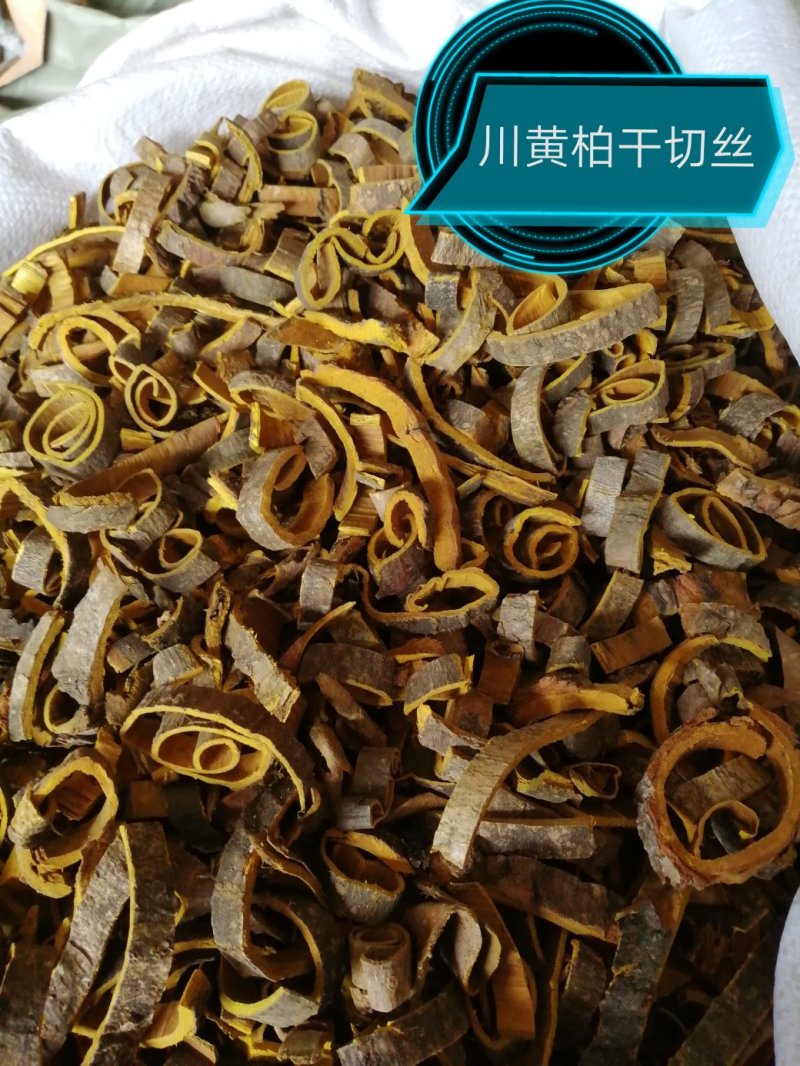川黄柏，黄柏丝，未去外粗皮干切黄柏丝，货干颜色漂亮