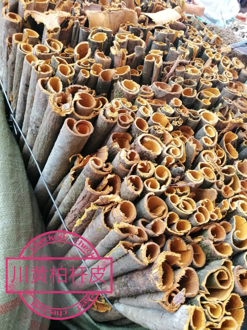 川黄柏，黄柏丝，未去外粗皮干切黄柏丝，货干颜色漂亮