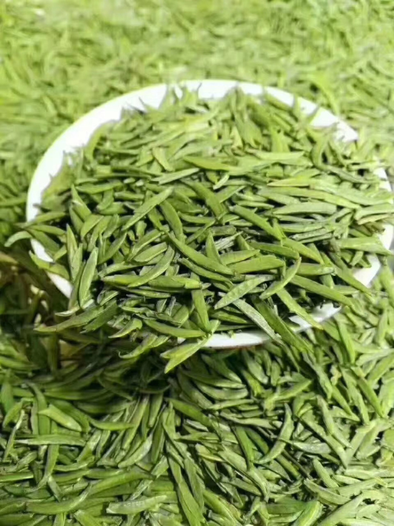 雅安蒙上茶