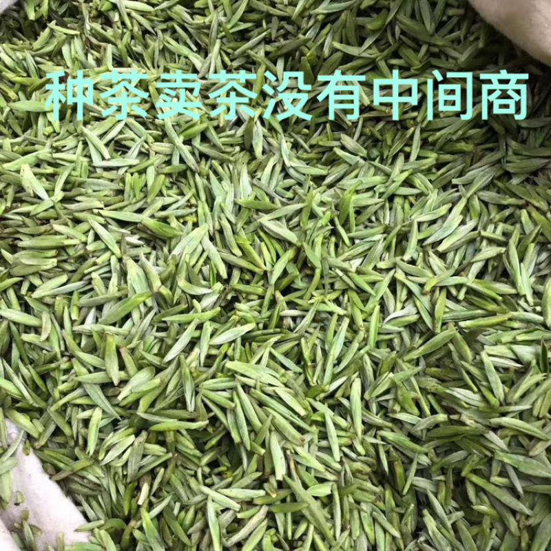 雅安蒙上茶