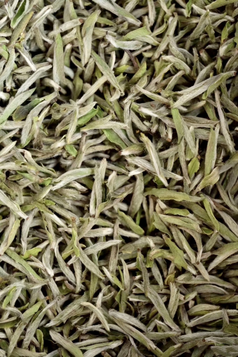 雅安蒙上茶