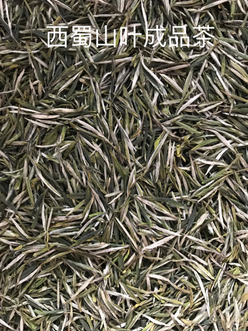 雅安蒙上茶