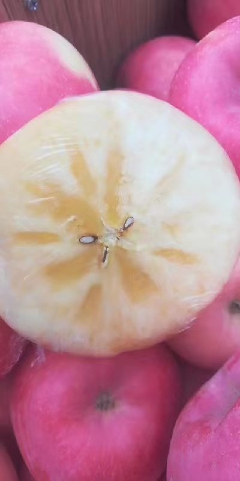 宁夏苹果【产地直销】冰糖心红富士苹果脆甜可口批发量大