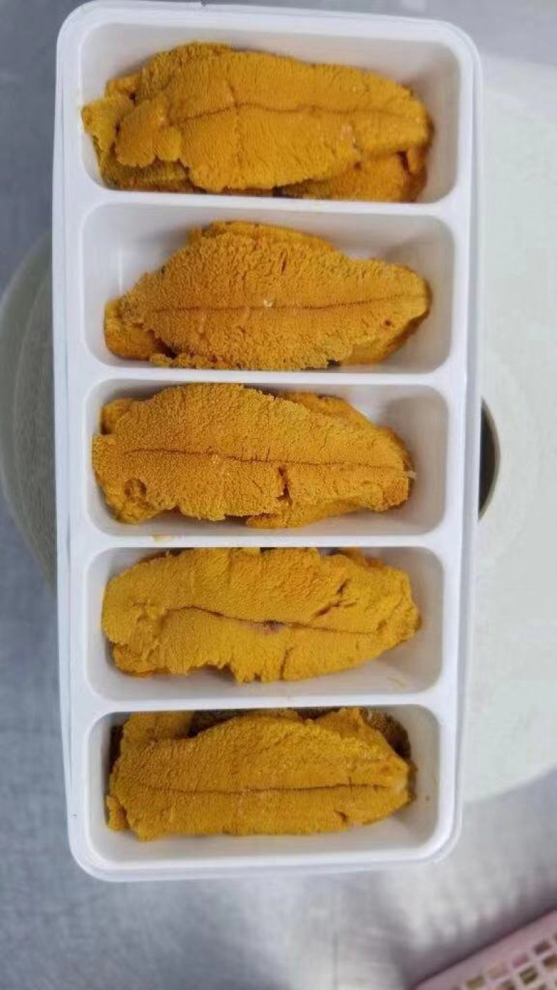 冰鲜，紫胆，马胆，新鲜加工，产地直供一手货源