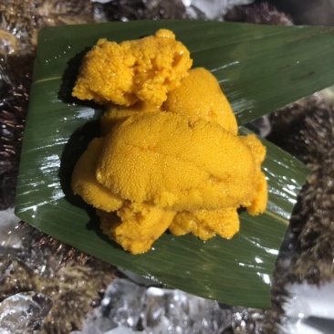 冰鲜，紫胆，马胆，新鲜加工，产地直供一手货源