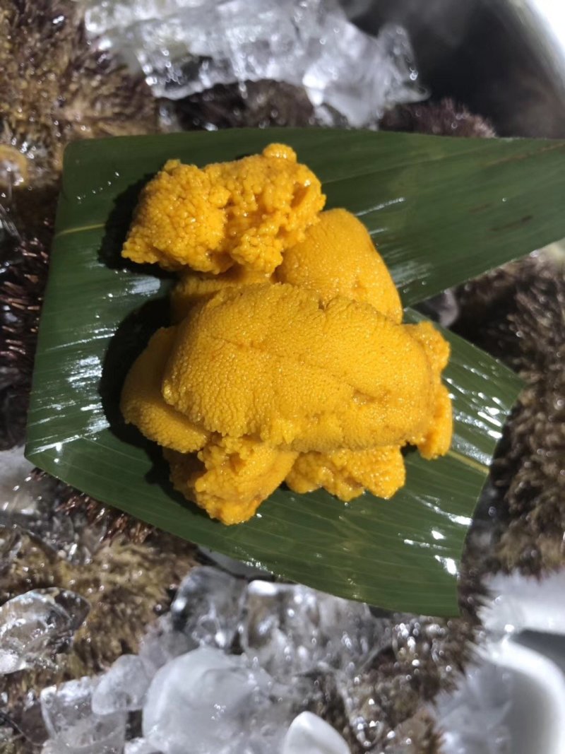 冰鲜，紫胆，马胆，新鲜加工，产地直供一手货源