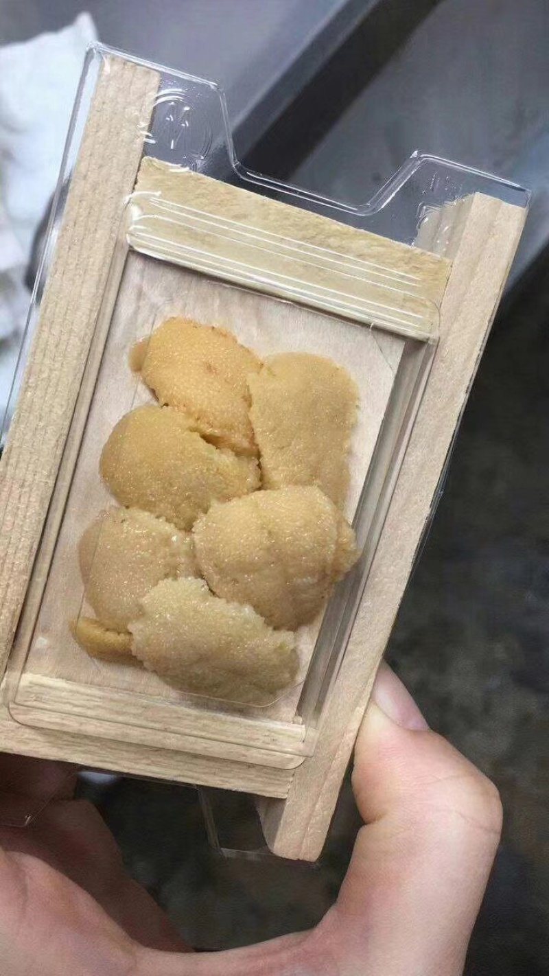 冰鲜，紫胆，马胆，新鲜加工，产地直供一手货源