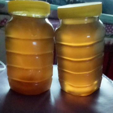 长年出售纯蜂蜜，蜂群，大棚授粉