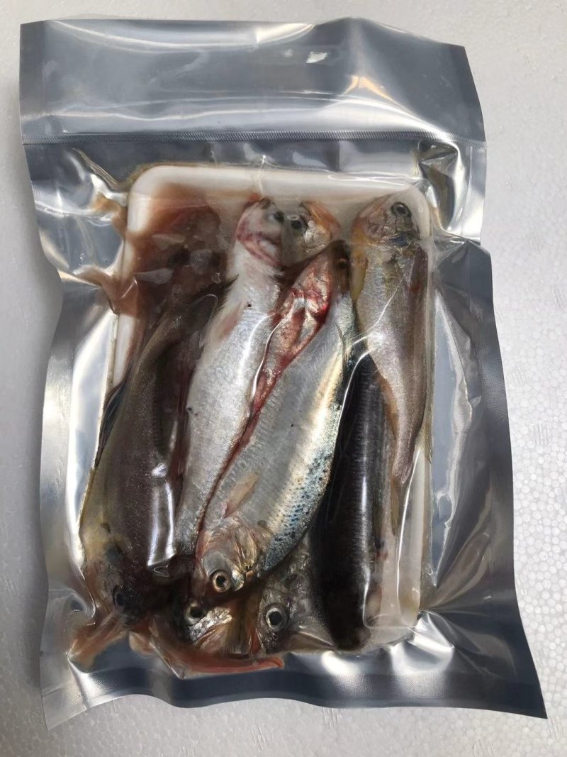 海杂鱼鲜鱼速冻非去脏真空500g/包随机4-6种