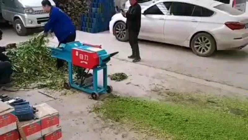 养殖大型铡草机自动进料玉米秸秆粉碎揉丝机3吨切草机粉草机