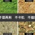养殖大型铡草机自动进料玉米秸秆粉碎揉丝机3吨切草机粉草机