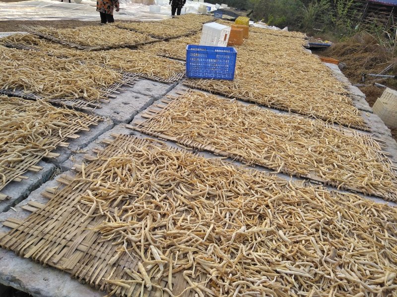 川明参