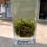 蒙顶山茶