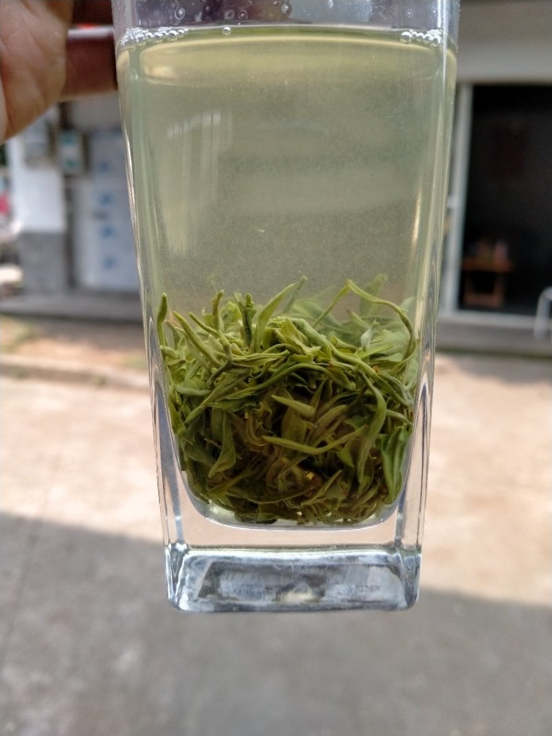 蒙顶山茶