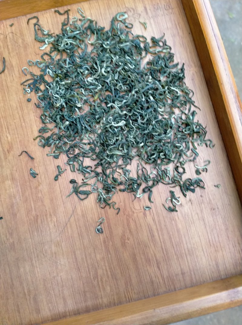 蒙顶山茶